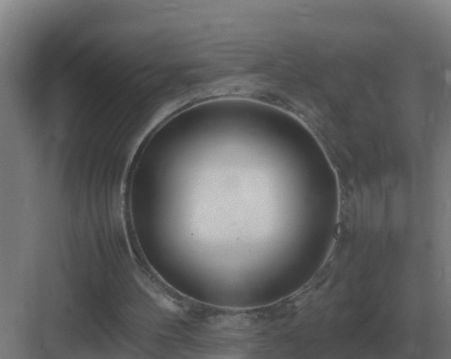 X0000083000100200702081911