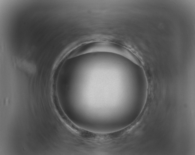 X0000083000101200702081911