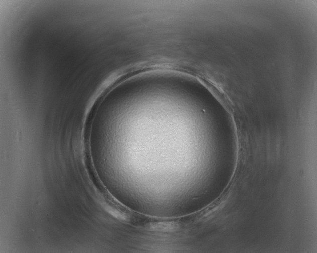 X0000083000102200702081911