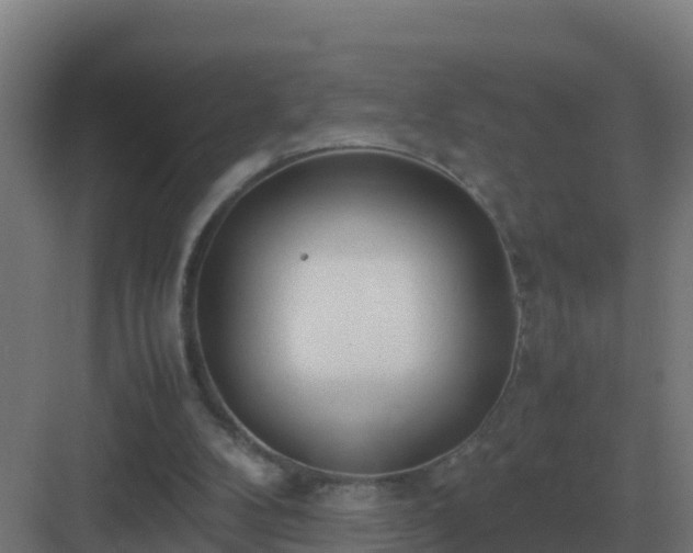 X0000083000104200702081911