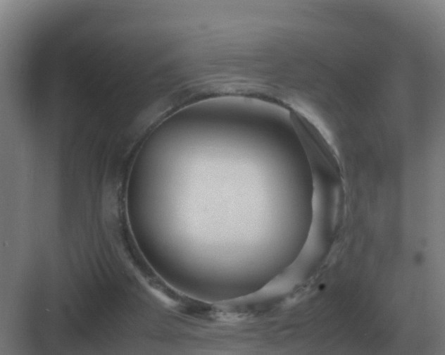 X0000083000105200702081911