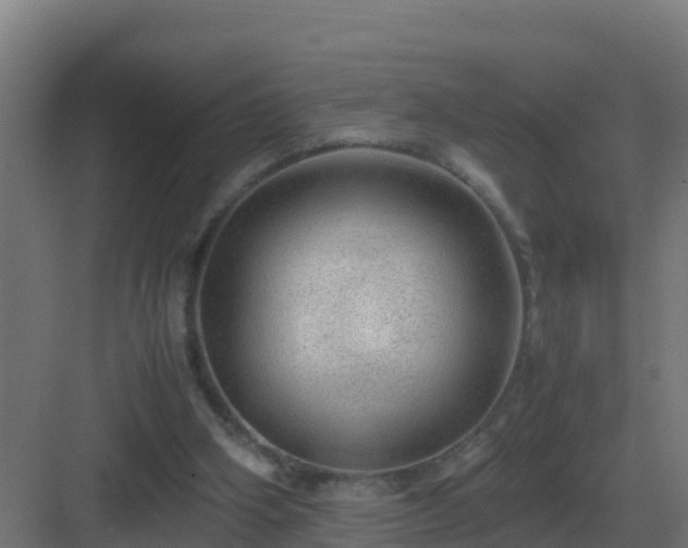 X0000083000106200702081911