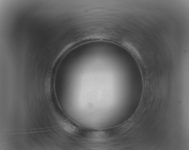 X0000083000108200702081911