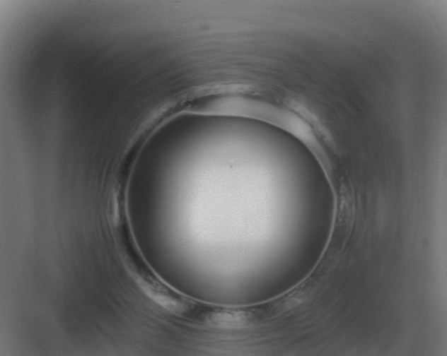 X0000083000110200702081910