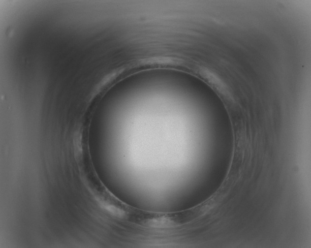 X0000083000112200702081910