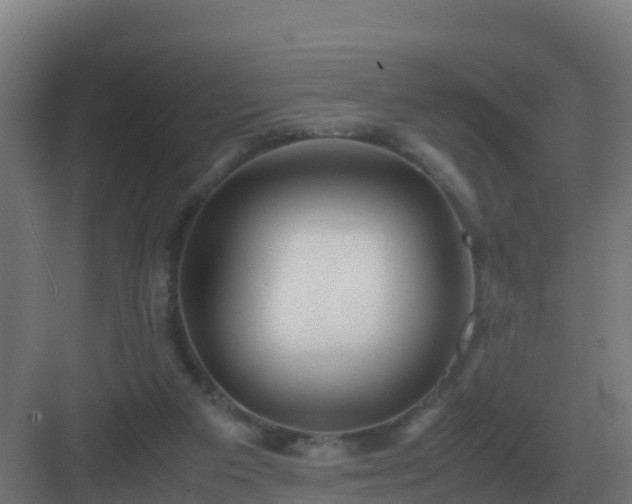 X0000083000113200702081910