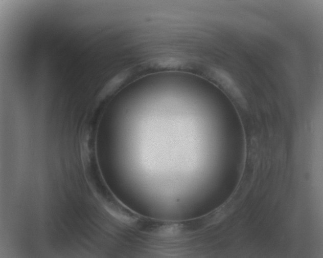 X0000083000116200702081910