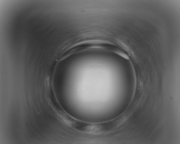 X0000083000117200702081910