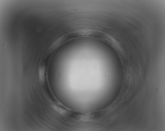 X0000083000118200702081910