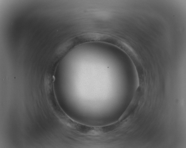 X0000083000119200702081910