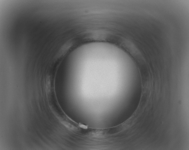 X0000083000120200702081910