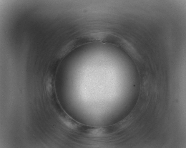 X0000083000122200702081910