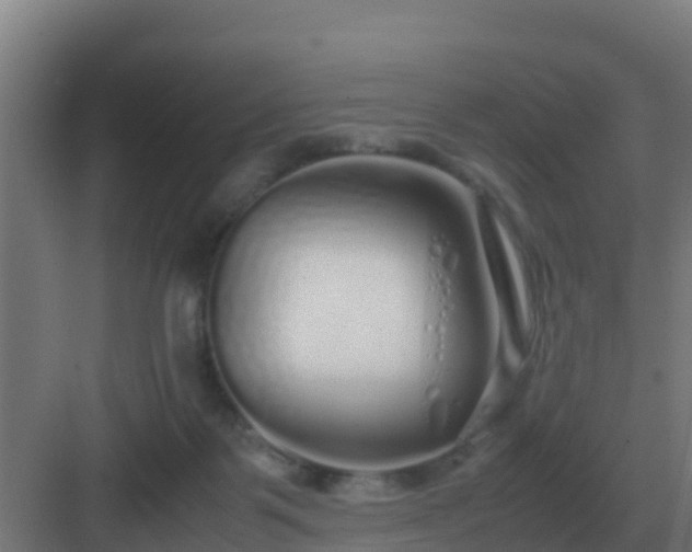 X0000083000123200702081910