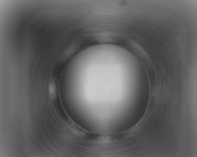 X0000083000124200702081910