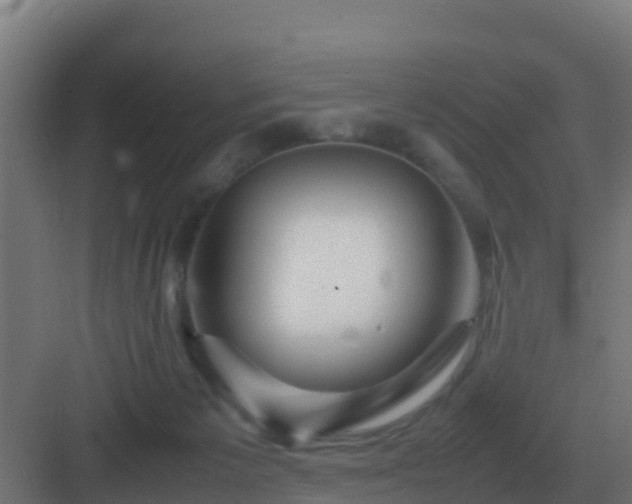 X0000083000125200702081910