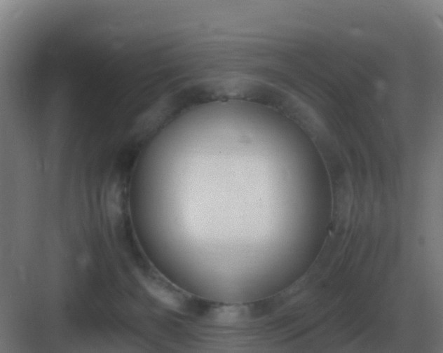 X0000083000126200702081910