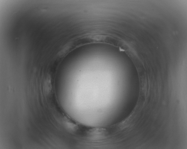 X0000083000128200702081910