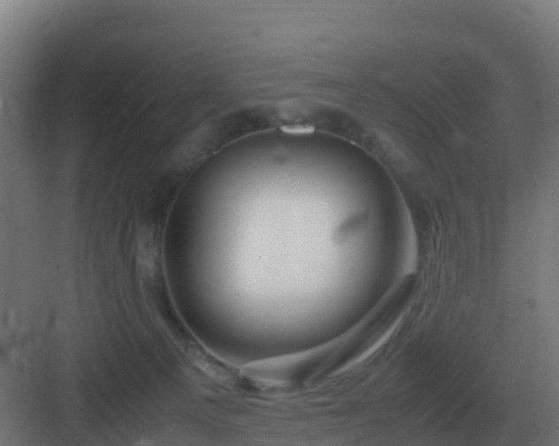 X0000083000129200702081910