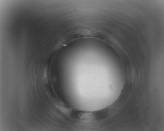 X0000083000132200702081910