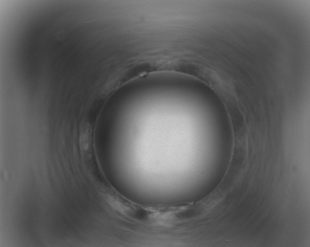 X0000083000133200702081910