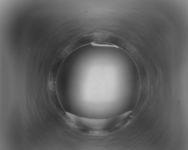 X0000083000137200702081910