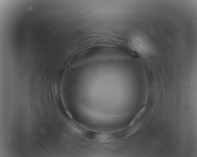 X0000083000139200702081910