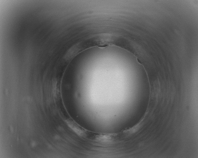 X0000083000140200702081910