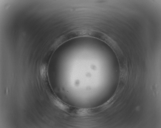 X0000083000142200702081910