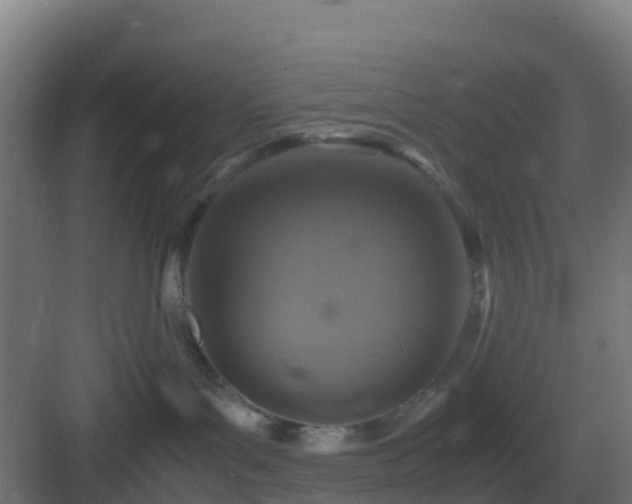 X0000083000143200702081910