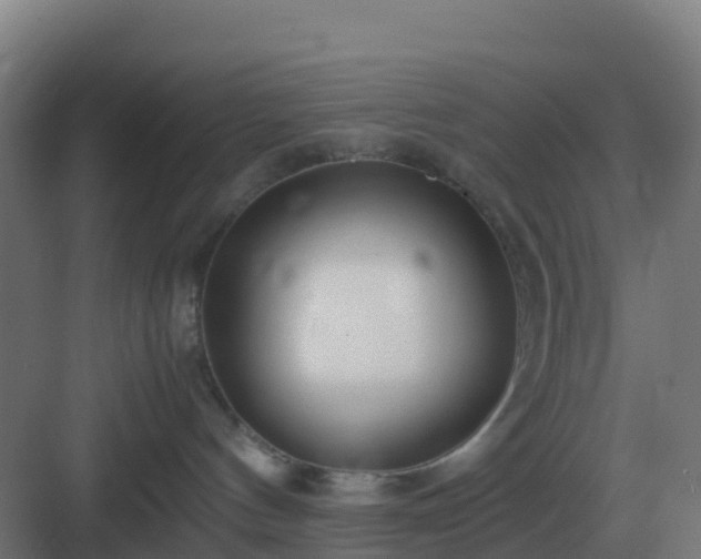 X0000083000144200702081910