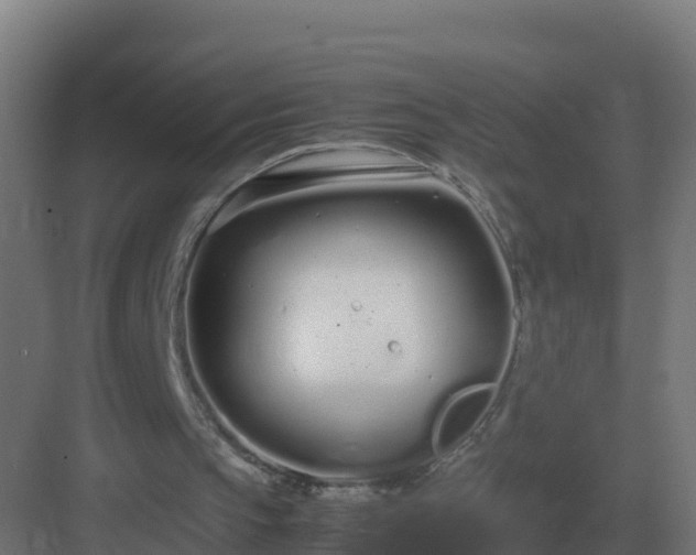 X0000083000145200702081909