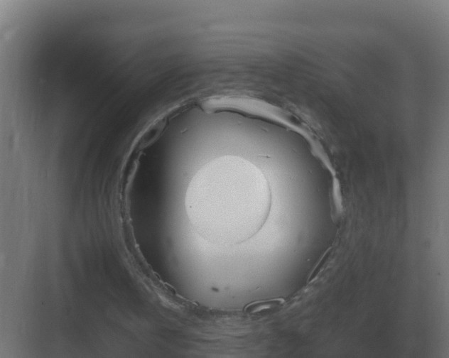 X0000083000146200702081909