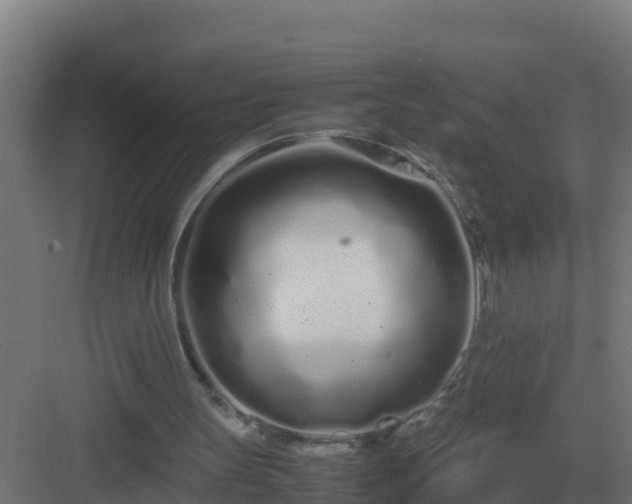 X0000083000147200702081909