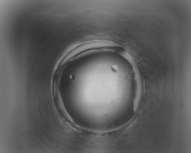 X0000083000148200702081909