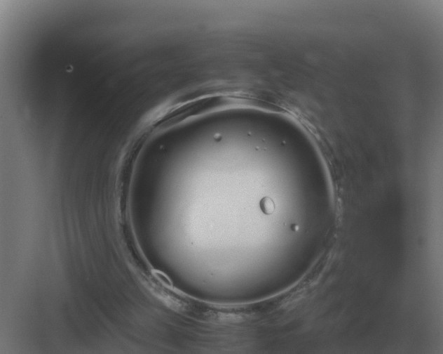 X0000083000149200702081909