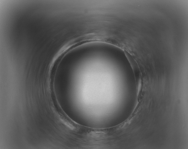 X0000083000150200702081909