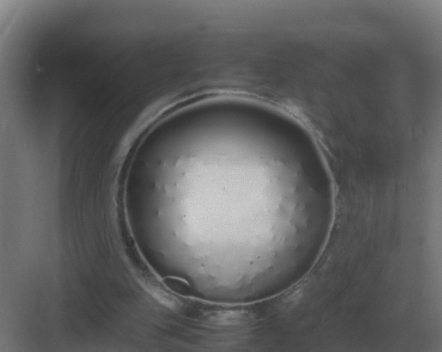 X0000083000151200702081909