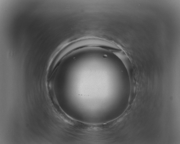 X0000083000152200702081909