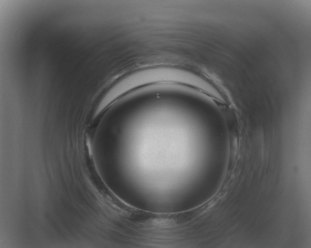 X0000083000154200702081909