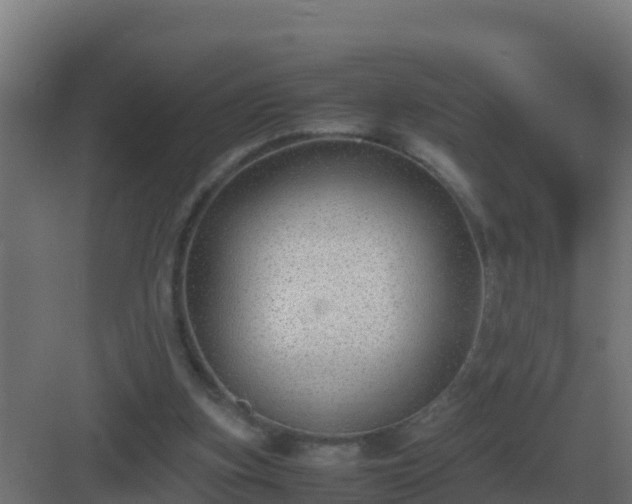 X0000083000155200702081909