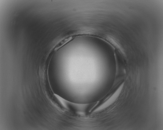 X0000083000156200702081909