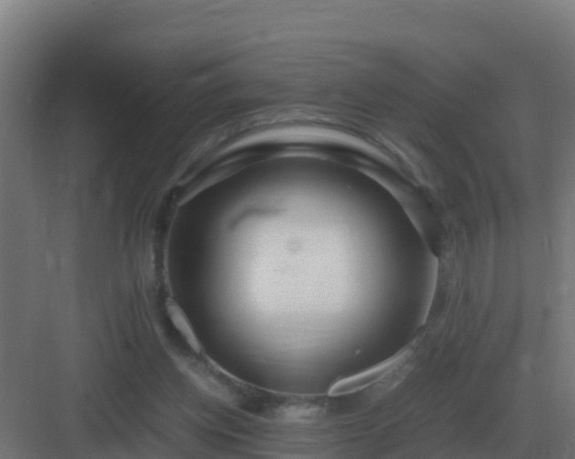 X0000083000158200702081909