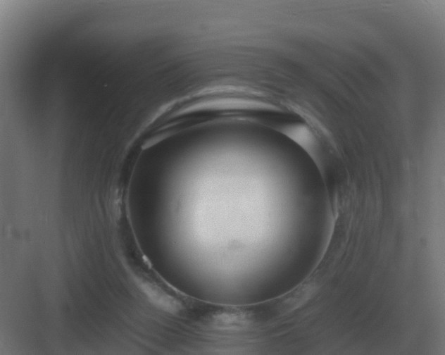 X0000083000160200702081909