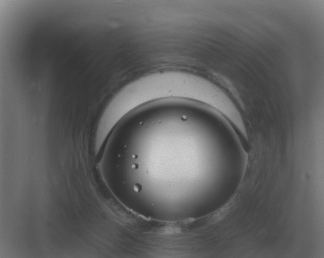 X0000083000162200702081909