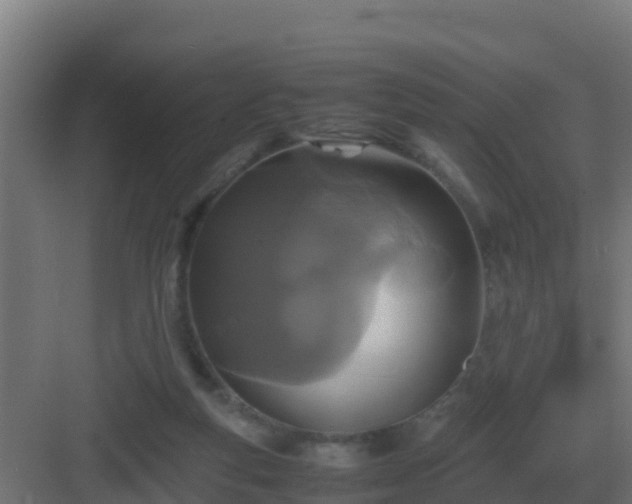 X0000083000163200702081909