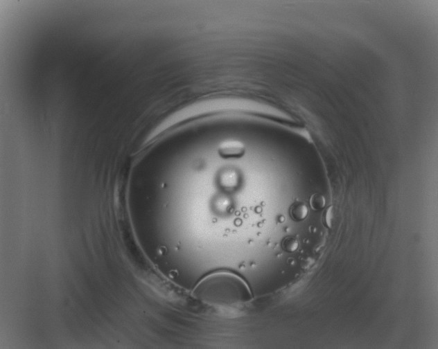 X0000083000166200702081909