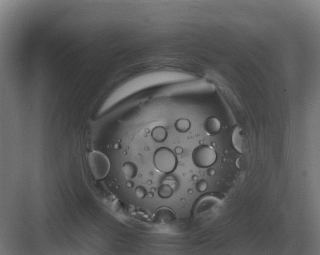 X0000083000167200702081909