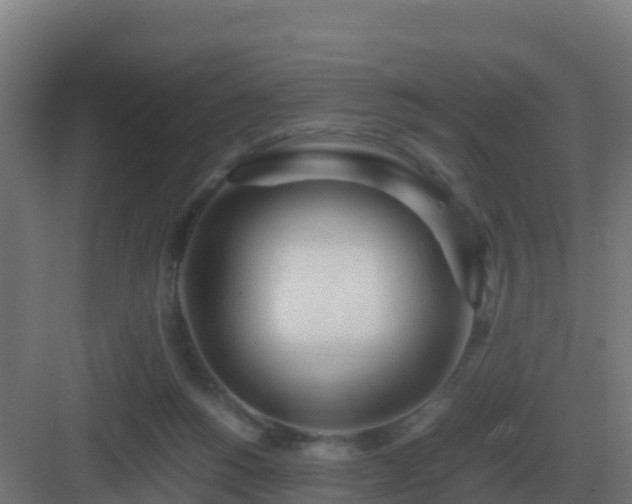 X0000083000168200702081909