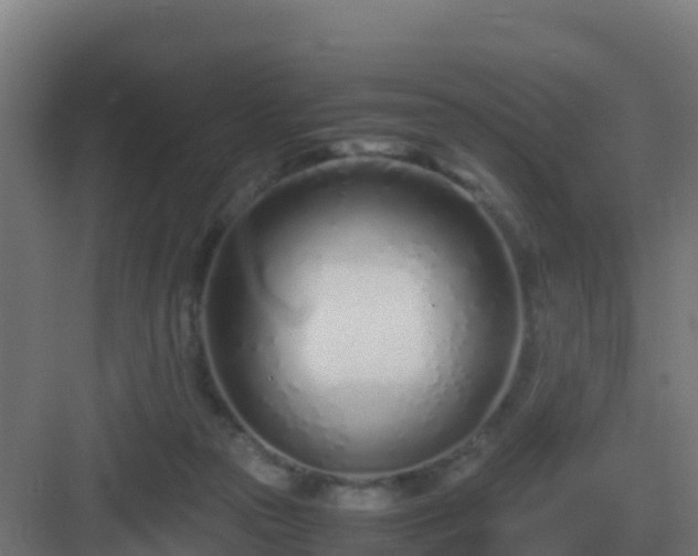 X0000083000169200702081909