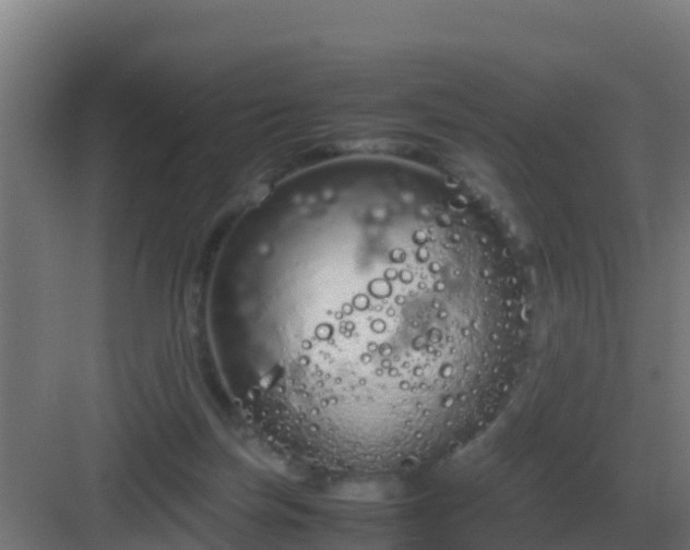 X0000083000171200702081910